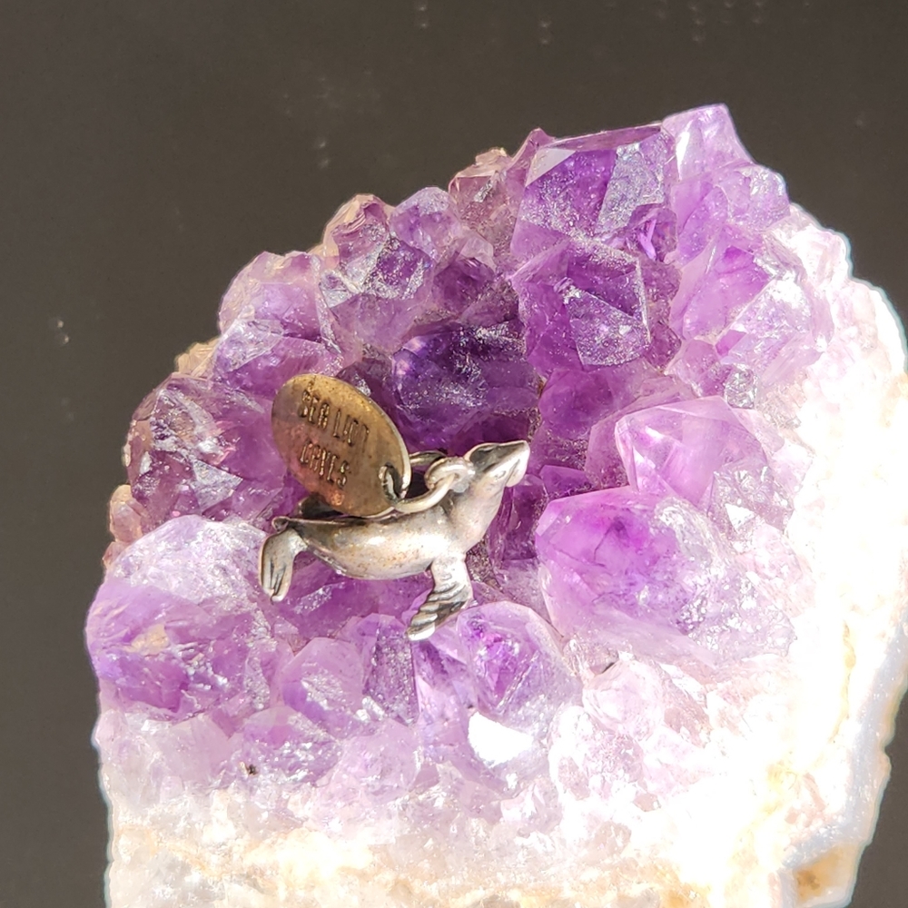 Women's 925 "Sea Lion Caves" Sea Lion Charm for a Bracelet or a Necklace.